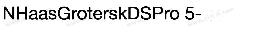 NHaasGroterskDSPro 5字体转换